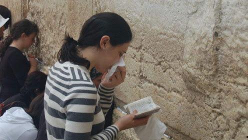 娱乐圈吃瓜的态度,揭秘明星背后的“瓜田”故事